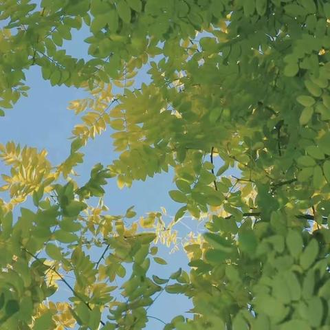 数字赋能学生发展质量评价