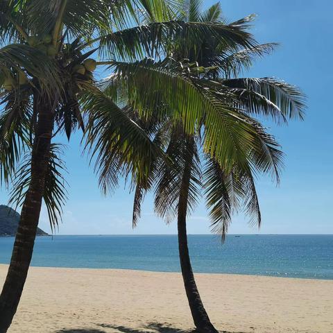 新村中学实习小组第七周美篇