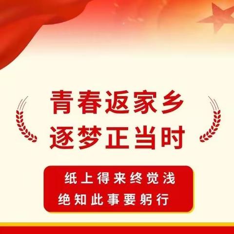 青春返家乡 逐梦正当时