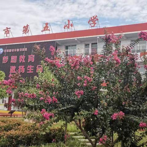 【整本书阅读】阅读点光 科学筑梦——林州市第五小学五年级科普阅读阶段性活动展示