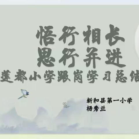 学自丽水、智润一小