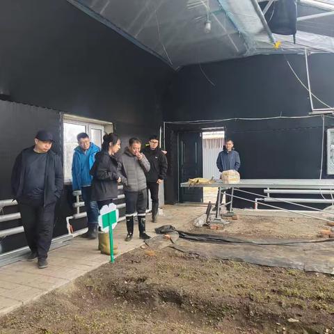 黑龙江省林业科学研究所专家赴呼中指导林木种质资源库建设并开展技术培训