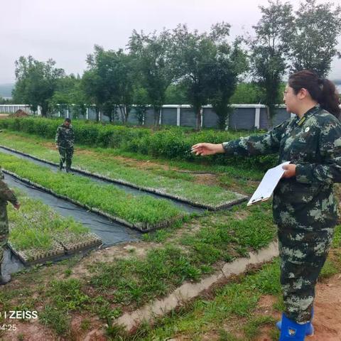 大兴安岭集团公司种苗站深入呼中林业局开展春检核查工作