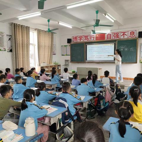 “以常规抓教学，以检查促提升”——柏市小学教学视导