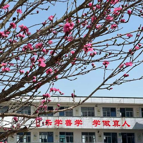 多彩延时，别样精彩——黄鹿镇初级中学课后延时服务社团活动