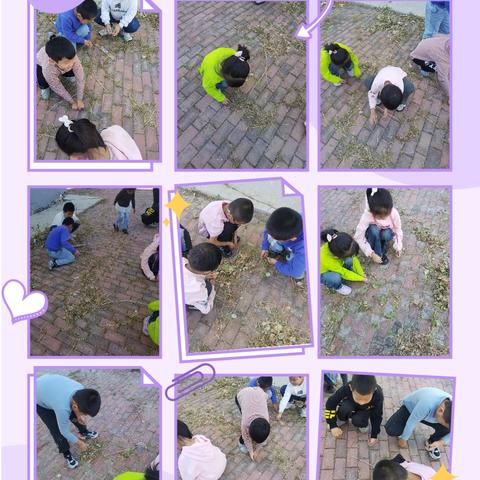 快乐的户外劳动 ——肇州县丰乐镇中心校二年一班