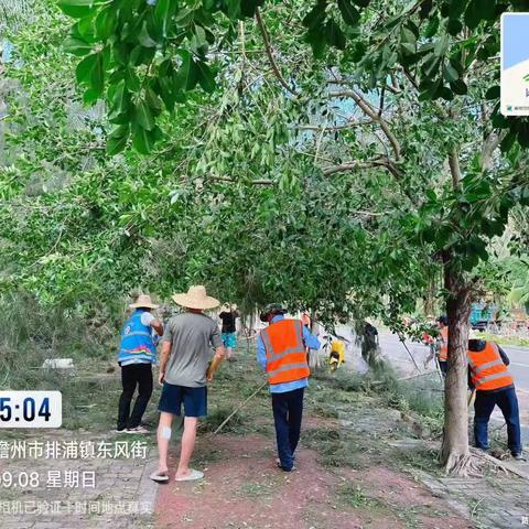 台风“摩羯”过后，排浦镇政府与包点单位齐心协力，共建家园