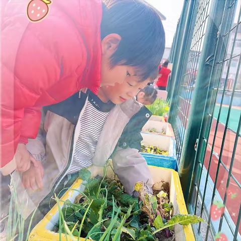 💗爱在朝夕相伴中💗九龙幼儿园中二班一周回顾