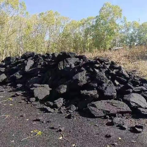 雪中送炭“温暖越冬”