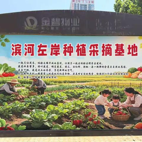 泺口街道滨河左岸社区打造种植采摘体验园 焕发环境治理新活力