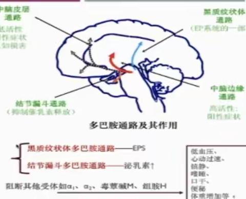 抗精神病药物不良反应--- 锥体外系不良反应（EPS）的识别和处理