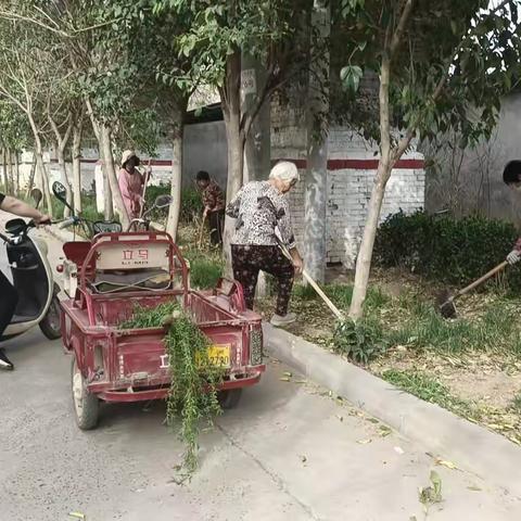 聚力人居环境整治 绘就美丽乡村底色