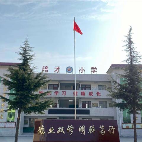 强体魄，严纪律，展风采——峰阳薛家培才中心小学队列队形暨广播操比赛