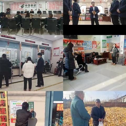 双城分公司经营动态