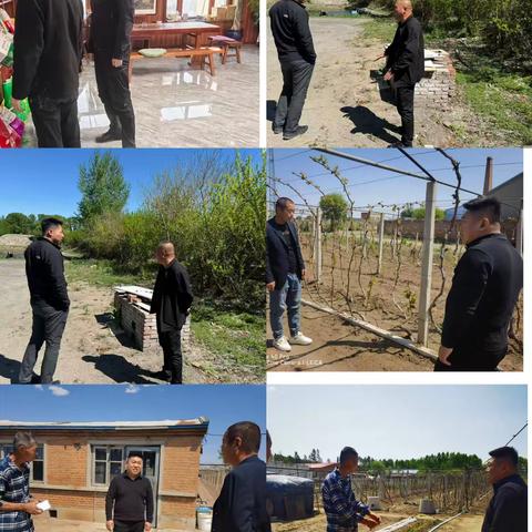 双城分公司经营动态