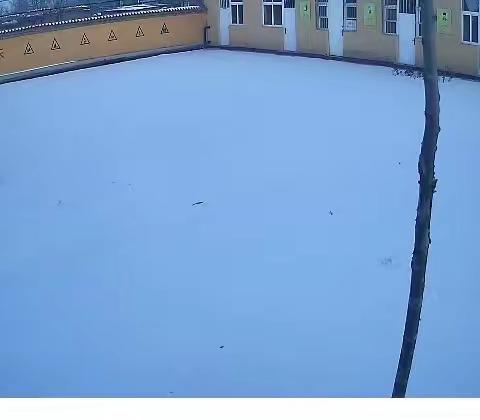 【石小•平安校园】除雪清扫保畅通 护航安全破冰行——石岭小学积雪清扫工作