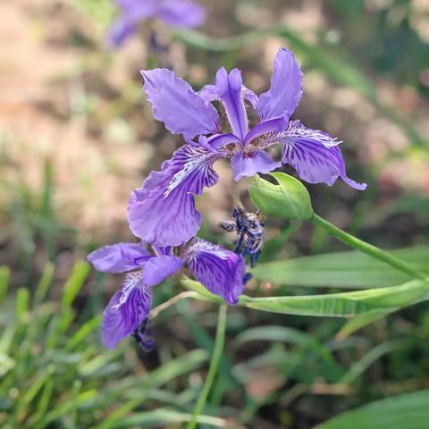 感受春暖花开的时节