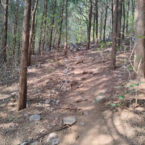 山不在高，路不在远