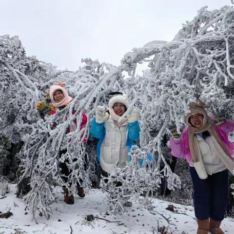 别羡慕北方啦，在广东住雪景房，泡药浴也不是梦啦，快来清远邂逅“琼枝玉树”的冬日雾凇盛景吧！