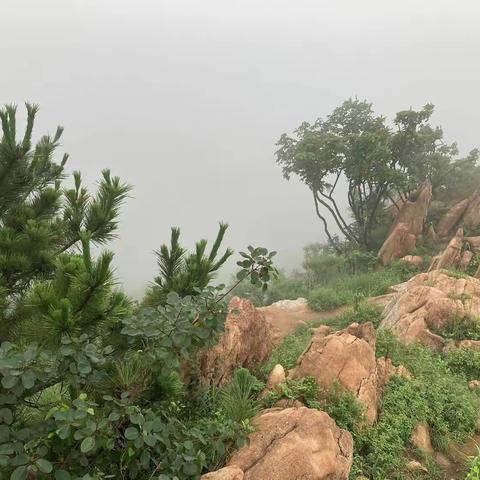 雨雾浮山中（六）