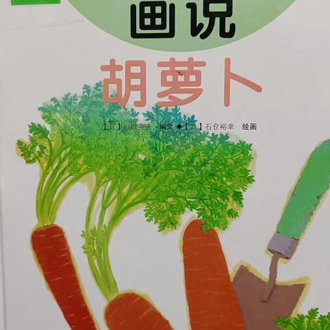 胡萝卜的多彩世界：营养、种植与美食