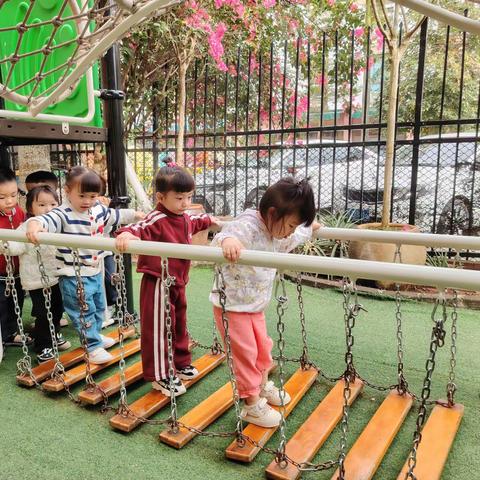 “冬日暖阳，温情12月”【闻会幼儿园】星星三班⭐️———精彩回顾🤗