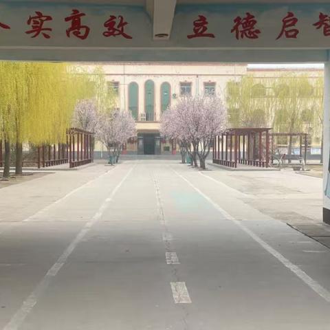 总结促提升 聚力再扬帆——杨营镇育英小学教育教学工作总结