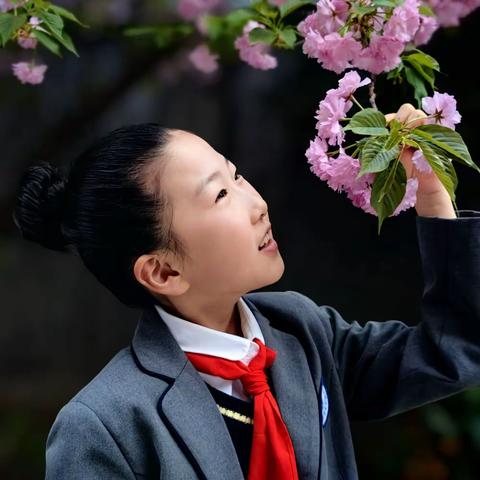 花儿与少年🤗