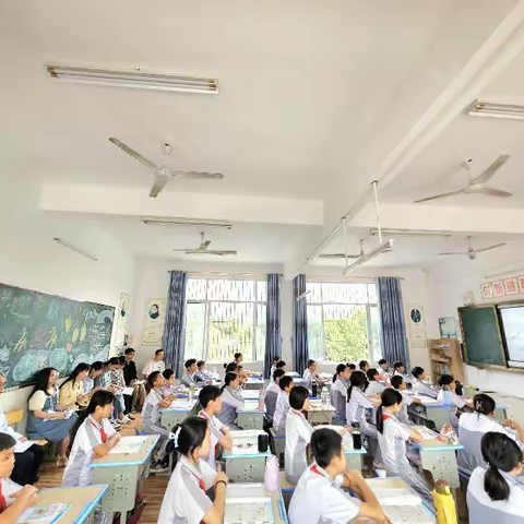 茶背学校开展小学数学同课异构教研活动