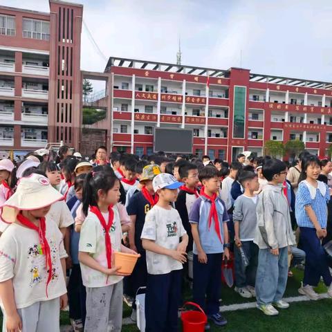 田间躬耕知辛劳，劳动实践润童心