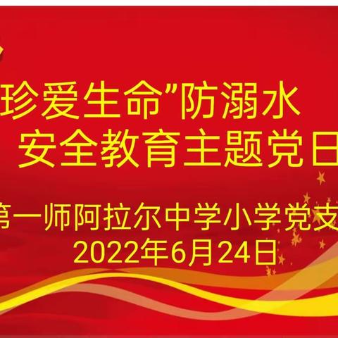 “珍爱生命”防溺水安全教育主题党日活动