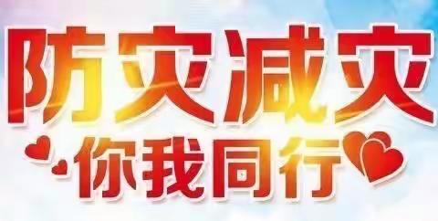 2024年全国防灾减灾日“人人讲安全、各个会应急--着力提升基层防灾避险能力”百年人寿大庆中心支公司宣