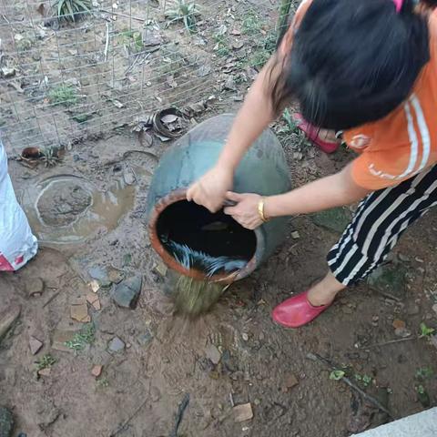 公坡镇持续开展预防基孔肯雅热防蚊灭蚊专项行动