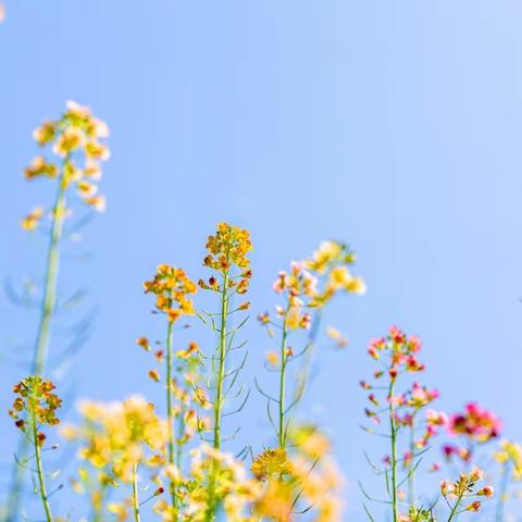 回望千山远 ，前路万木春 记锦州市一高中物理组第二周教研活动