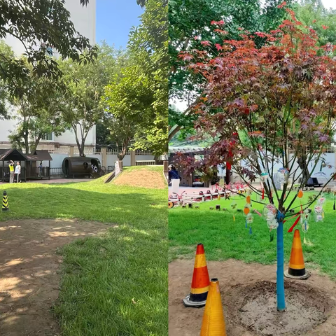 🎓『种下毕业树🌲，记录成长路』✨——农幼果二班