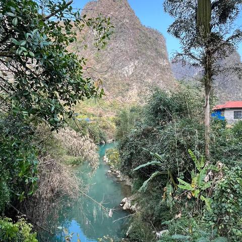 探寻自然之美：人与自然的和谐共生