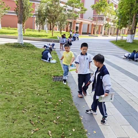 校内外小学科学资源开发与利用的实践研究课——校园里的动物