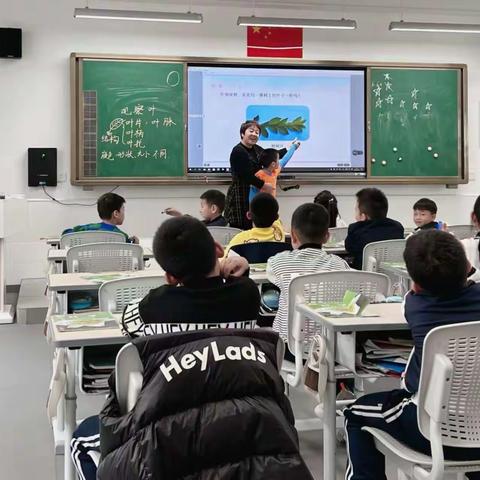 校内外小学科学资源开发与利用的实践研究课——观察叶