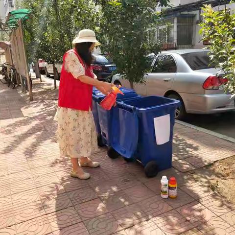 山大社区八月份蚊蝇消杀行动：筑牢健康防线，守护宜居家园