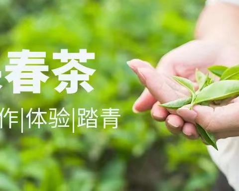 普洱市2025年，“家校共育，小手拉大手”职业体验活动，思茅第三小学教育集团凤凰校区——243班