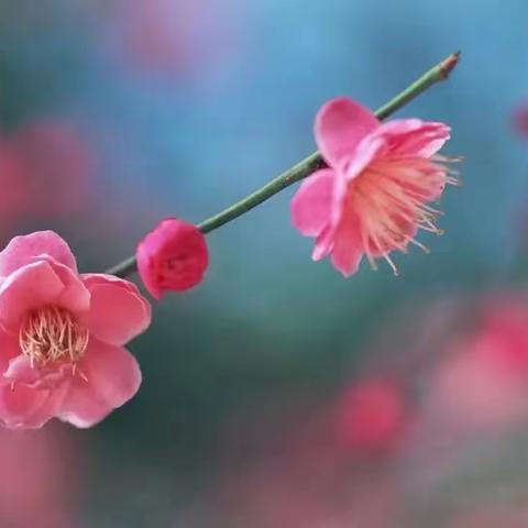 相约“千年古井”  畅饮“贵州安酒”