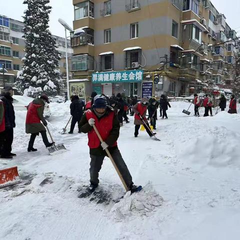 以雪为令 志愿先行 共筑温暖新春乐园