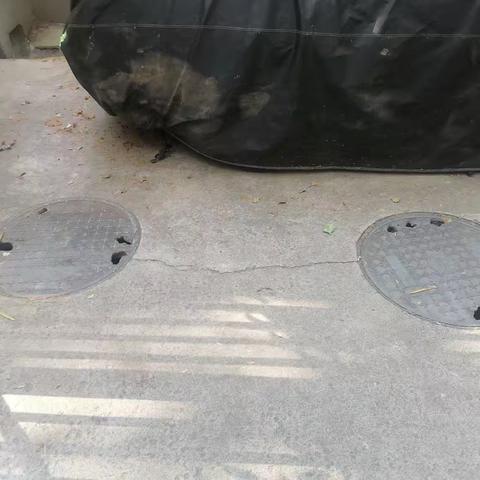 隐患“零容忍”！社区联动市政为居民筑牢“脚下安全”