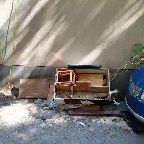 网格聚力办实事 环境整治暖民心——甸柳五区杂物清理在行动