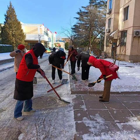 林科院社区浴“雪”而战 为居民扫出“平安路”