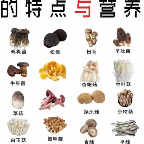 凤都中心小学“食用菌进校园”绘画比赛