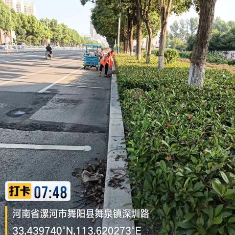 舞阳清尘环保周五集中清理绿化带