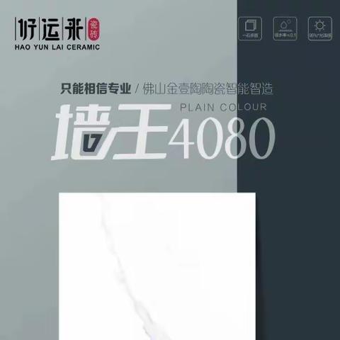 好运来400×800全瓷中板