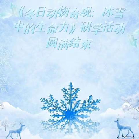 《冬日动物奇观：冰雪中的生命力》 ——思德幼儿园中一班研学之旅