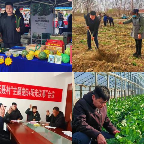 同舟·市政府办公厅第一书记工作简讯 （2025年3月）